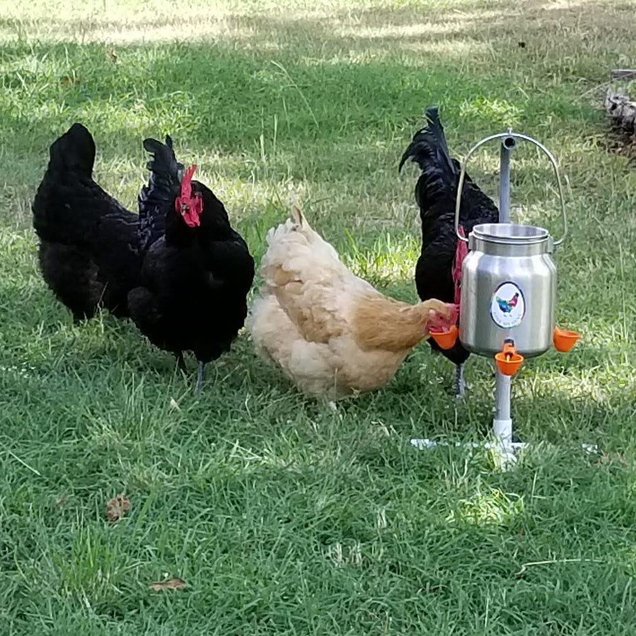 Chicken Waterer, Stainless 1.3 Gallon (5 Liter) With 3 Pecking Cups - DISCOUNTED IMPERFECTS