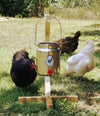 Chicken Waterer, Stainless 1.3 Gallon (5 Liter) With 3 Nipples