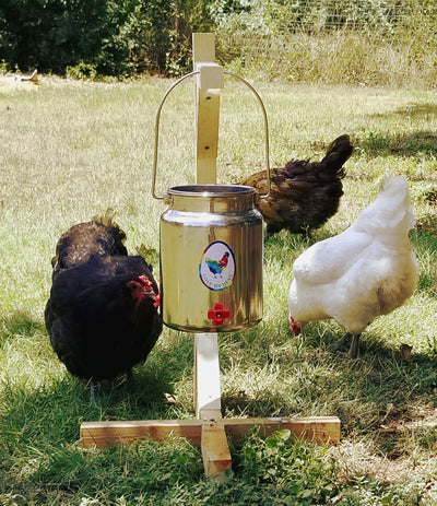 Chicken Waterer, Stainless 1.3 Gallon (5 Liter) With 3 Nipples - DISCOUNTED IMPERFECTS
