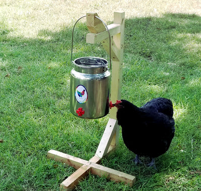 Chicken Waterer, Stainless 1.3 Gallon (5 Liter) With 3 Nipples