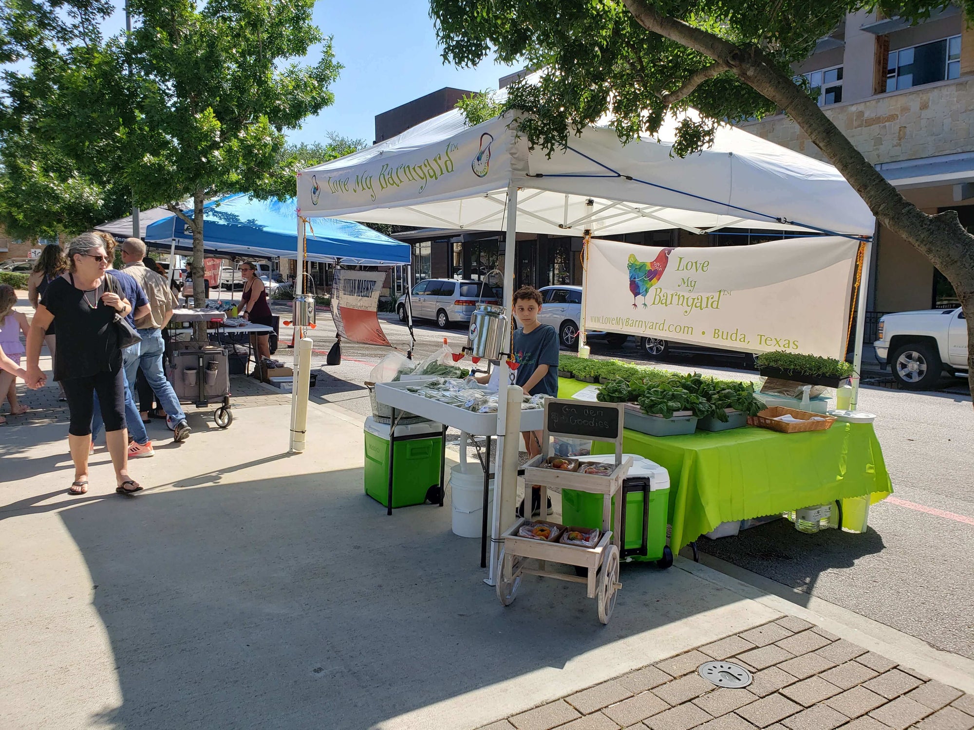 Lettuce 2 Heads - Subscribe For Bi-weekly Pick Up